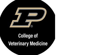 Purdue Logo